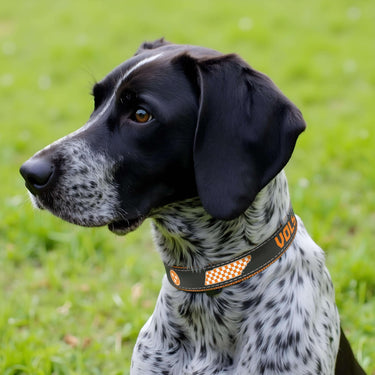 Tennessee Vols Stadium Collection Woven Ribbon Dog Collar Gray Front