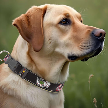 USC Gamecocks Stadium Collection Woven Ribbon Dog Collar Black Dog Front