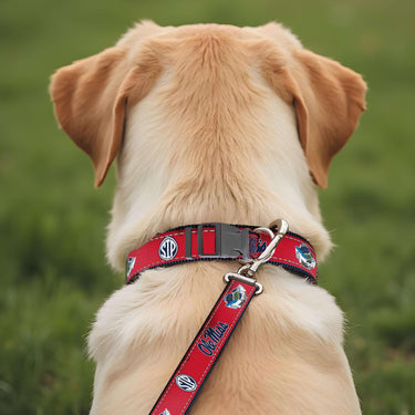 UMS Ole Miss Stadium Collection Woven Ribbon Dog Lead Red Back