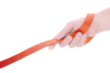 Clemson Tigers Stadium Collection Woven Ribbon Dog Lead Gray Handle