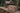 Florida Gators Camo Canvas Toiletry Bag. Gators Dopp Kit - Toiletry Bag For Travel - UF Gators Travel Accessory - Camo Print Toiletry Bag
