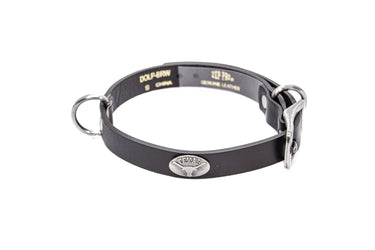 Texas Longhorns Brown Leather Dog Collar - Antique Silver Logo