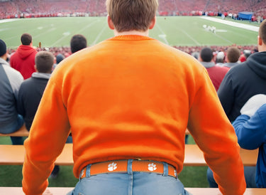 Clemson Tigers Woven Ribbon Belt Stadium