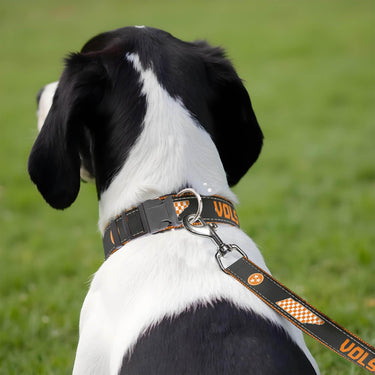 Tennessee Vols Stadium Collection Woven Ribbon Dog Collar Gray Back