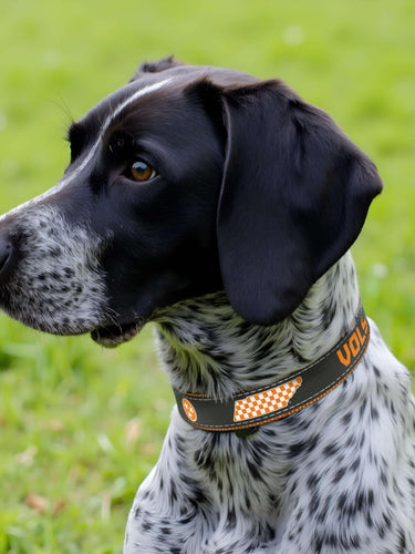 Tennessee Vols Stadium Collection Woven Ribbon Dog Collar Gray Front