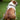 Mississippi State Stadium Collection Woven Ribbon Dog Collar Gray Back