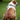 Mississippi State Stadium Collection Woven Ribbon Dog Collar Gray Back