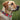 Ole Miss Rebels  Stadium Collection Woven Ribbon Dog Collar Red Front