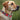 Ole Miss Rebels  Stadium Collection Woven Ribbon Dog Collar Red Front
