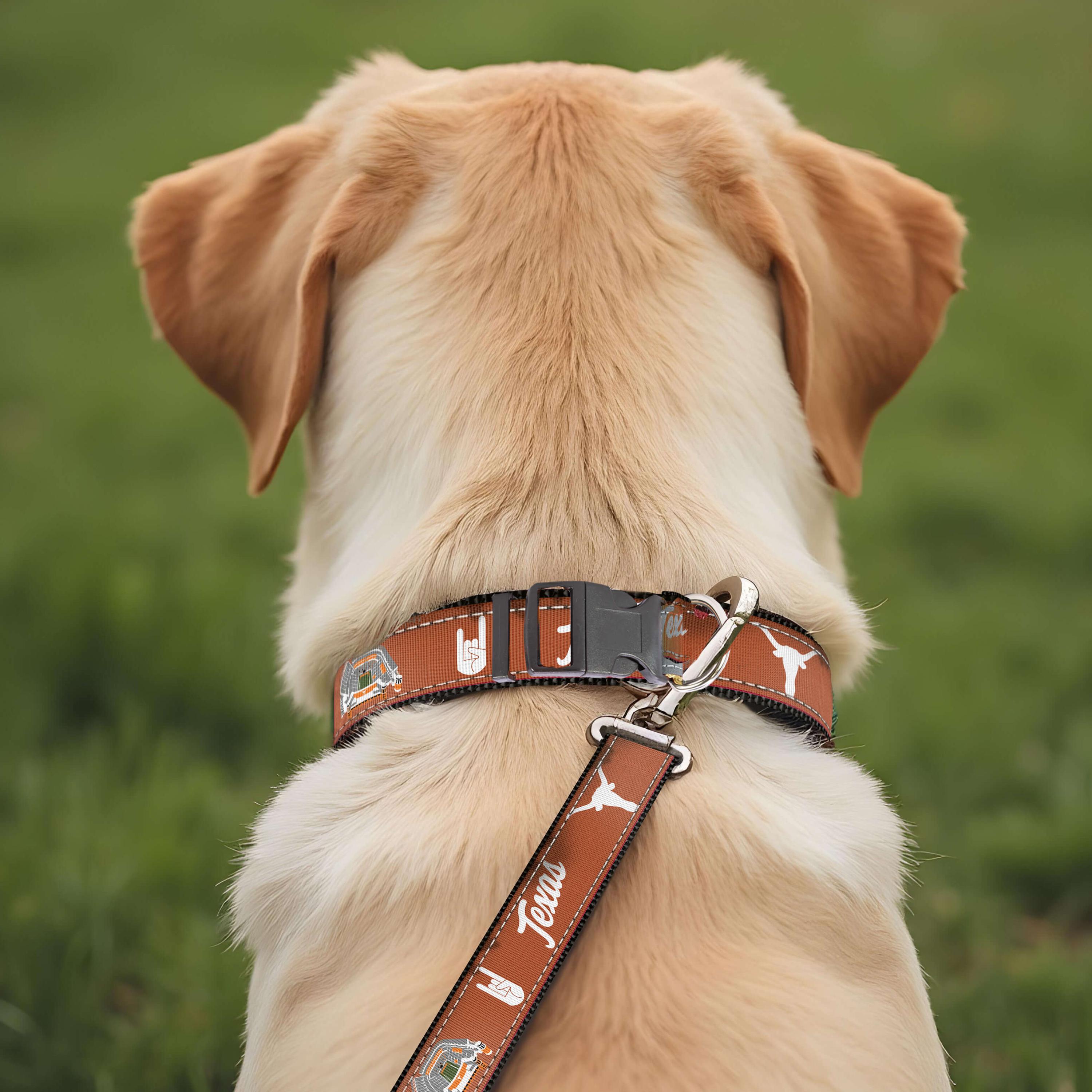 Texas Longhorns Stadium Collection Woven Ribbon Dog Collar Orange Back