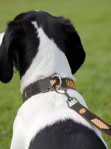 Tennessee Vols Stadium Collection Woven Ribbon Dog Lead Gray Back