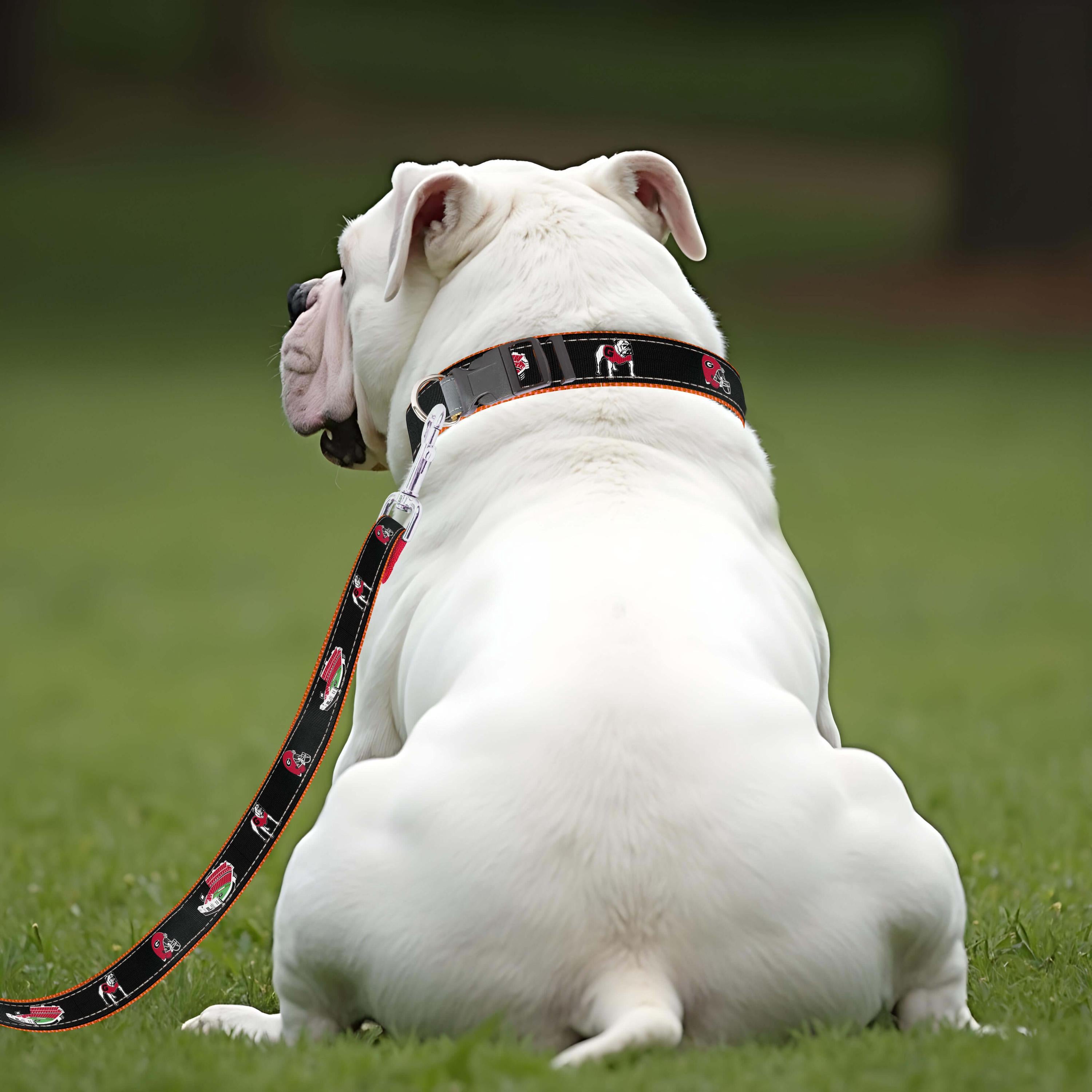 Georgia Bulldogs Stadium Collection Woven Ribbon Dog Lead Black Back