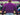 ECU Pirates Woven Ribbon Belt Stadium Fan