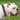 Georgia Bulldogs Stadium Collection Woven Ribbon Dog Collar Red Front