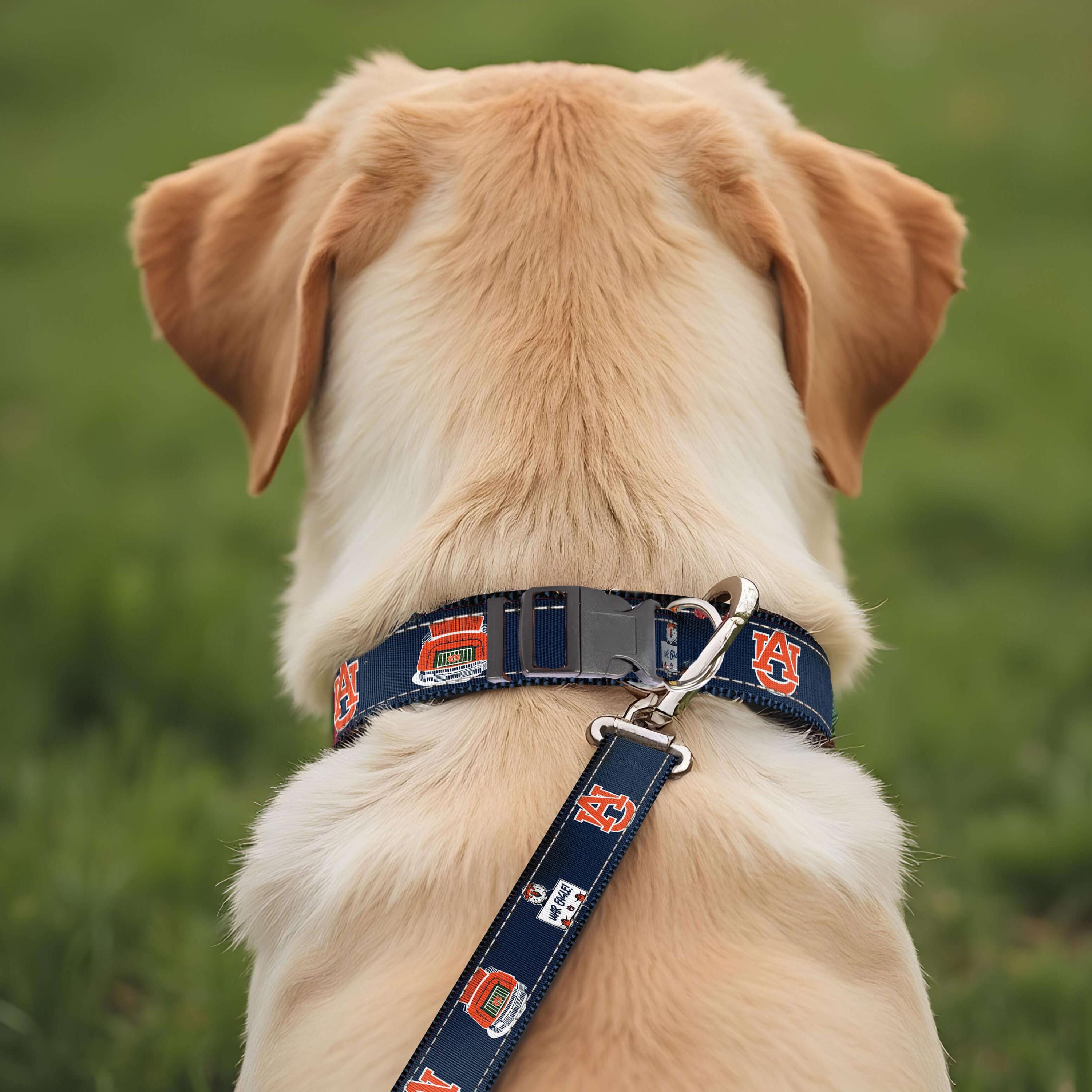 Auburn Tigers Stadium Collection Woven Ribbon Dog Collar Navy Back