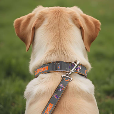 Clemson Tigers Stadium Collection Woven Ribbon Dog Lead Gray Back