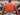 Texas Longhorns Stadium Collection Woven Ribbon Belt Stadium