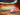Clemson Tigers Stadium Collection Woven Ribbon Dog Collar stadium