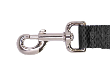 Texas Longhorns Stadium Collection Woven Ribbon Dog Lead Orange clip