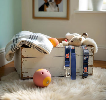 Auburn Tigers Stadium Collection Woven Ribbon Dog Lead Navy toy box