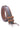 Virginia Tech Hokies Men's Collegiate Two Tone Leather Belt. Black With Brown Trim Full Grain Finish. Metal Emblem Conchos. Hokies Gift