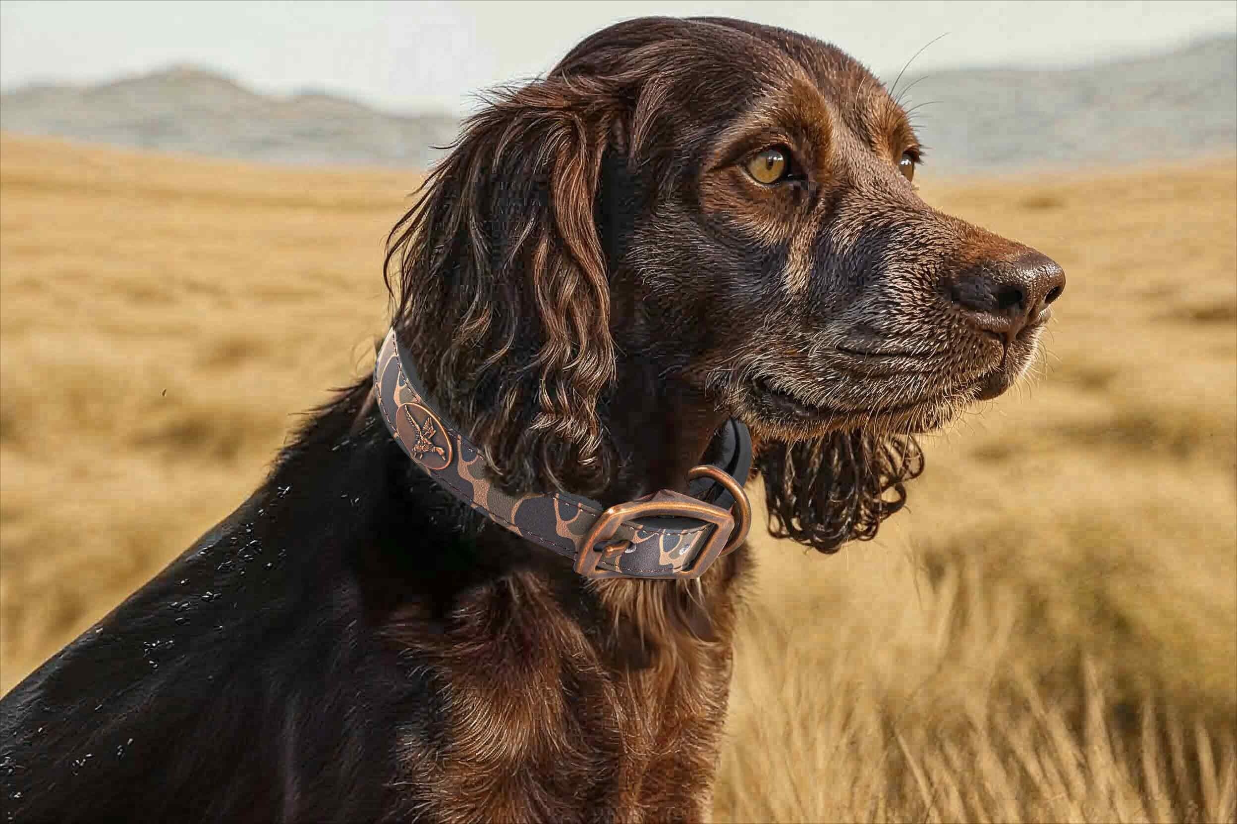 Florida Gators Old School Camo Leather Dog Collar - Antique Copper Logo