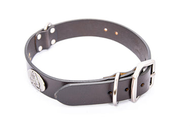 ECU Pirates Brown Leather Dog Collar - Antique Silver Logo