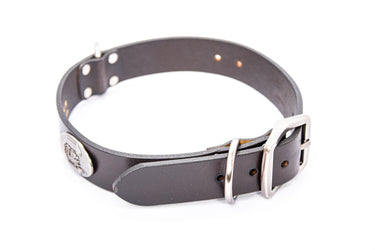 South Carolina Gamecocks Brown Leather Dog Collar - Antique Silver Logo