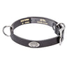 Texas Longhorns Brown Leather Dog Collar - Antique Silver Logo