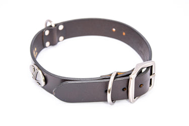 Virginia Cavaliers Brown Leather Dog Collar - Antique Silver Logo