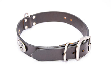 West Virginia Mountaineers Brown Leather Dog Collar - Antique Silver Logo