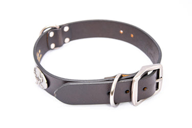 Buck Brown Leather Dog Collar - Antique Silver Logo