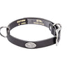 Jesus Fish Brown Leather Dog Collar - Antique Silver Logo