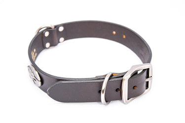 Marlin Brown Leather Dog Collar - Antique Silver Logo