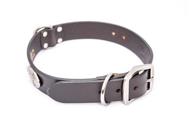 South Carolina Palmetto Brown Leather Dog Collar - Antique Silver Logo