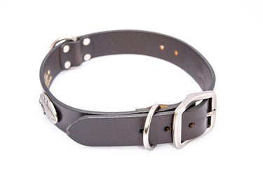 Redfish Brown Leather Dog Collar - Antique Silver Logo