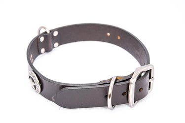 Texas Star Brown Leather Dog Collar - Antique Silver Logo