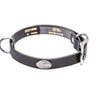 Georgia Southern Eagles Pirates Brown Leather Dog Collar - Antique Silver Logo