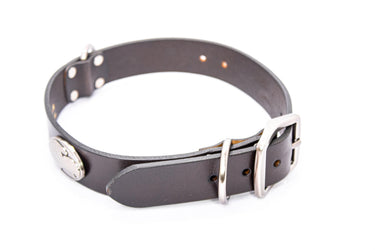 Georgia Southern Eagles Pirates Brown Leather Dog Collar - Antique Silver Logo