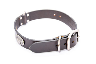 Memphis Tigers Brown Leather Dog Collar - Antique Silver Logo