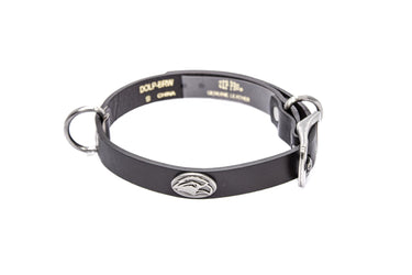 Southern Miss Eagles Brown Leather Dog Collar - Antique Silver Logo