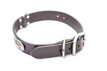 Texas Longhorns Brown Leather Dog Collar - Antique Silver Logo