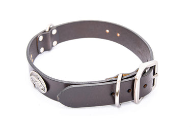 Bass Brown Leather Dog Collar - Antique Silver Logo
