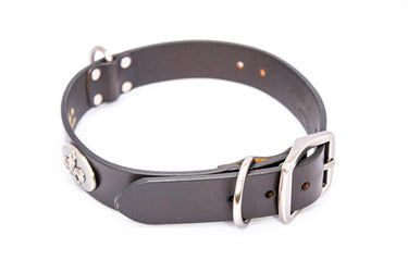Fleur De Lis Brown Leather Dog Collar - Antique Silver Logo