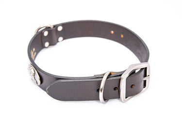 Lab Brown Leather Dog Collar - Antique Silver Logo