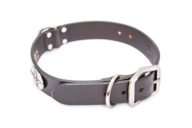 Mallard Brown Leather Dog Collar - Antique Silver Logo
