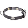 Marlin Brown Leather Dog Collar - Antique Silver Logo