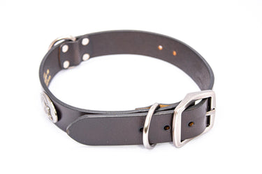 Turkey Brown Leather Dog Collar - Antique Silver Logo